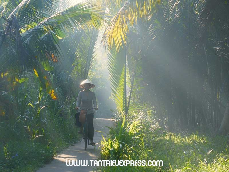 Du Lịch Miền Tây, mang đặc sản gì về Mỹ làm quà