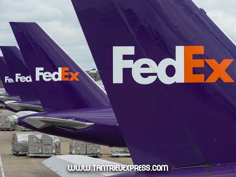 Những màu sắc logo thú vị của hãng vận chuyển quốc tế Fedex