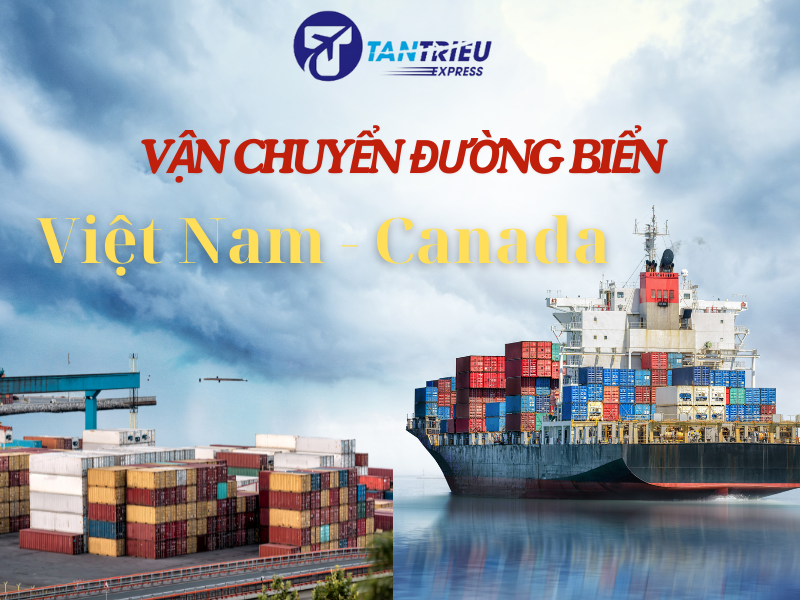 Dịch vụ vận chuyển hàng bằng đường biển từ Sài Gòn đi Canada