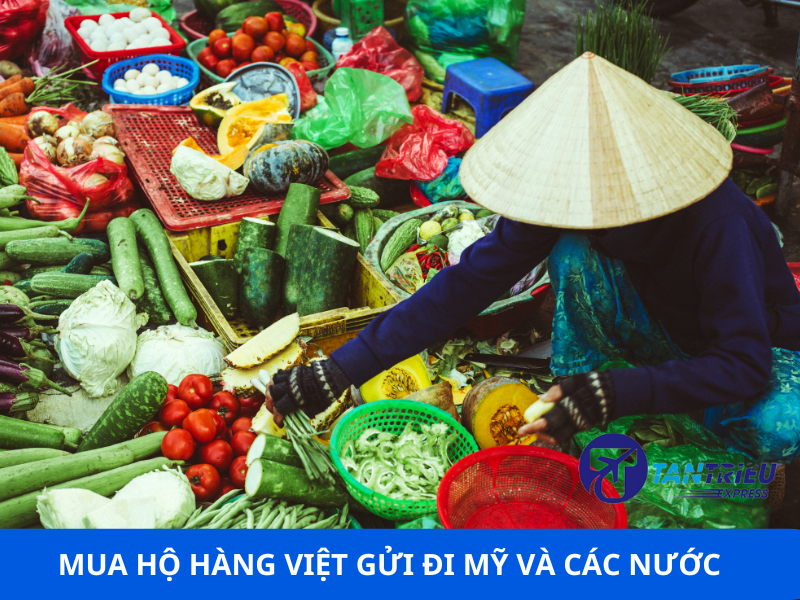 Dịch vụ mua hộ hàng Việt Nam gửi đi Mỹ và Quốc Tế uy tín