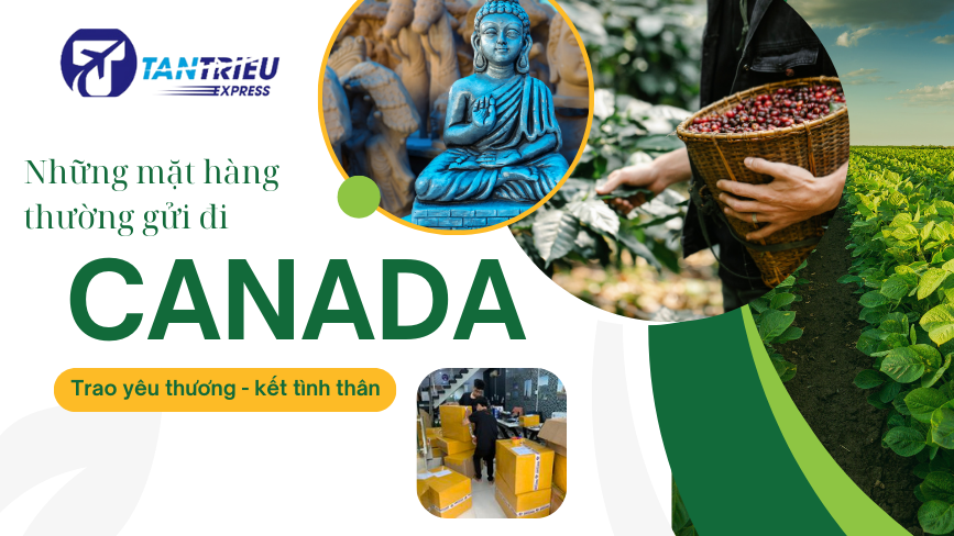 Những mặt hàng thường được gửi đi canada