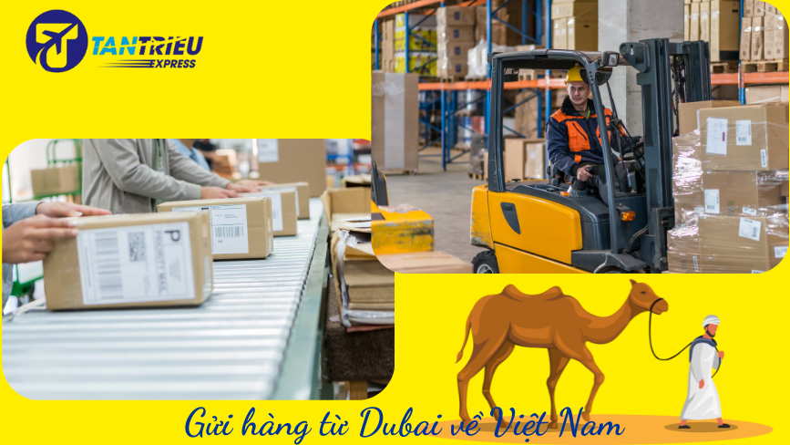 Quy trình gửi hàng hóa từ Dubai về Sài Gòn