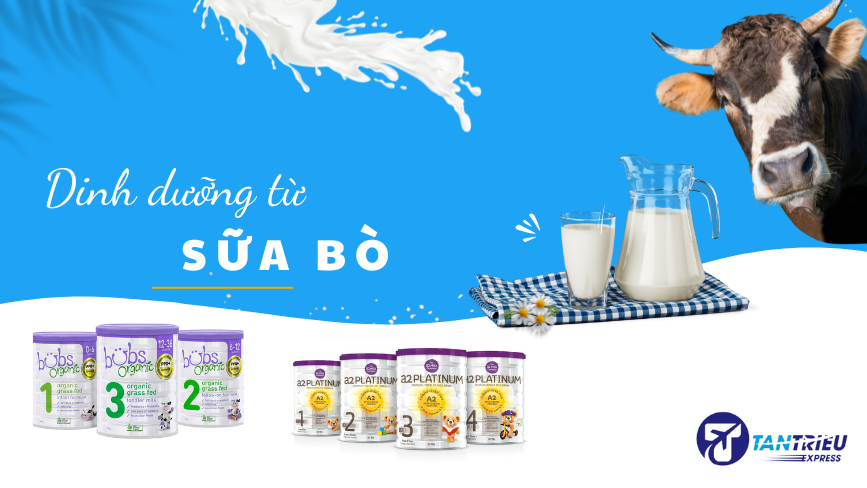 sữa bò của úc