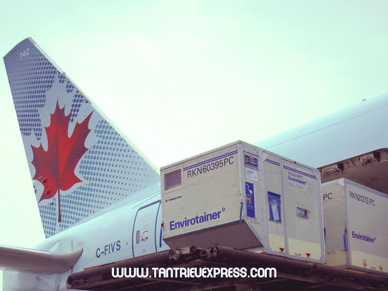Dịch vụ gửi hàng từ Canada về Sài Gòn giá rẻ
