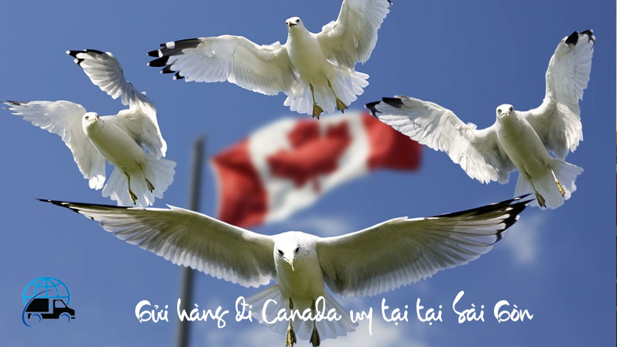 Công ty gửi hàng đi Canada uy tín tại Sài Gòn