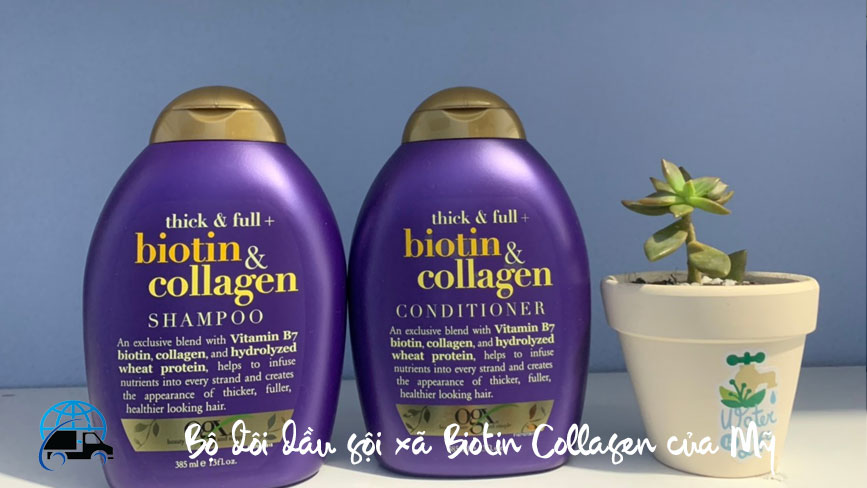 Combo dầu gội xả biotin collagen hàng Mỹ chính hãng