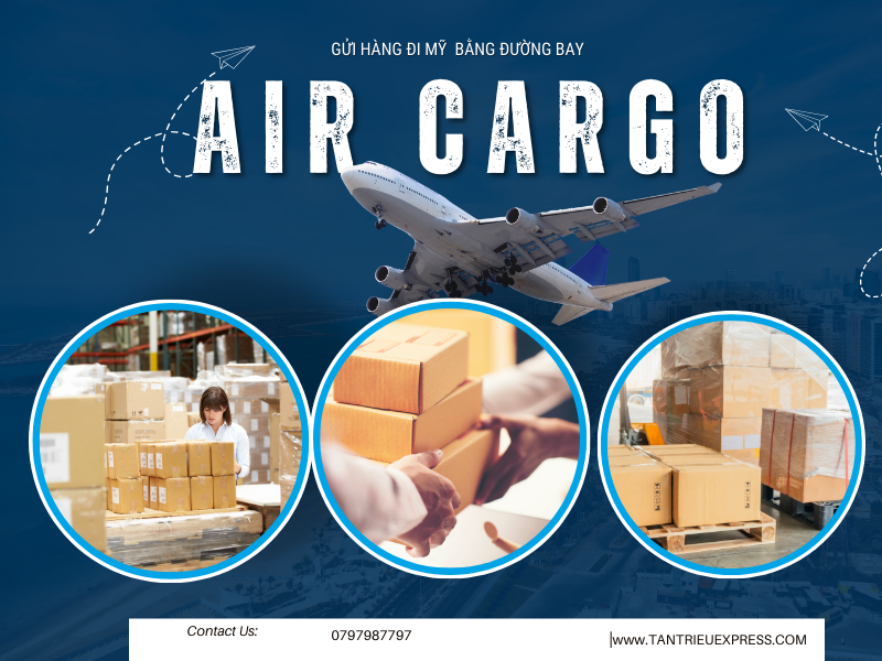 Gửi hàng đi Mỹ bằng các hãng DHL, Fedex, UPS