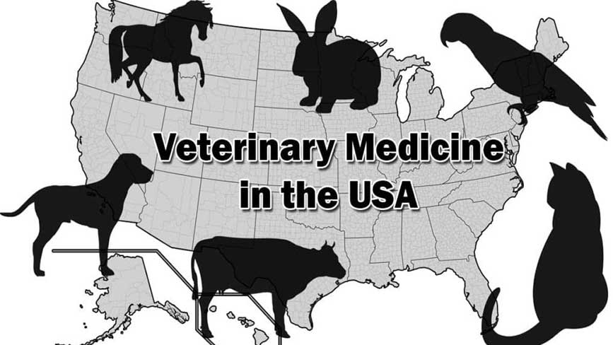 Gửi thuốc thú y đi Mỹ cần lưu ý các thông tin