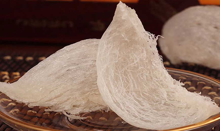 Yến thành phẩm là sản phẩm mắc tiền nhất từ tổ Yến