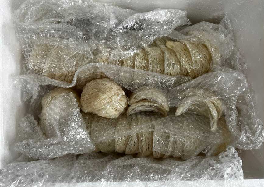 Lựa chọn đơn vị chuyển hàng an toàn cho bạn