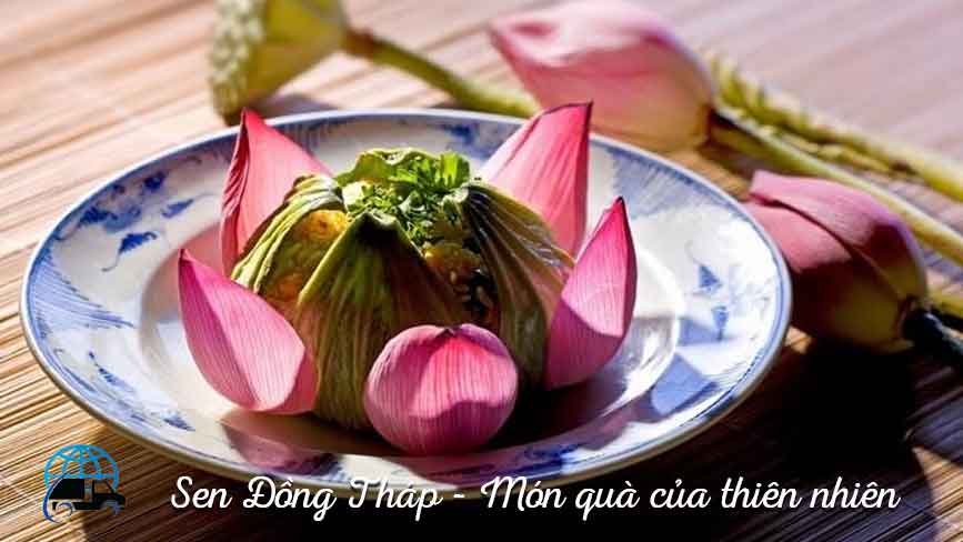 Gửi hàng từ Đồng Tháp đi Mỹ