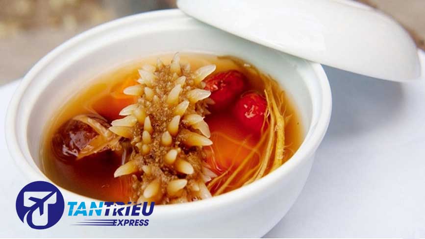 Hải sâm Phú Quốc vị thuốc quý từ thiên nhiên