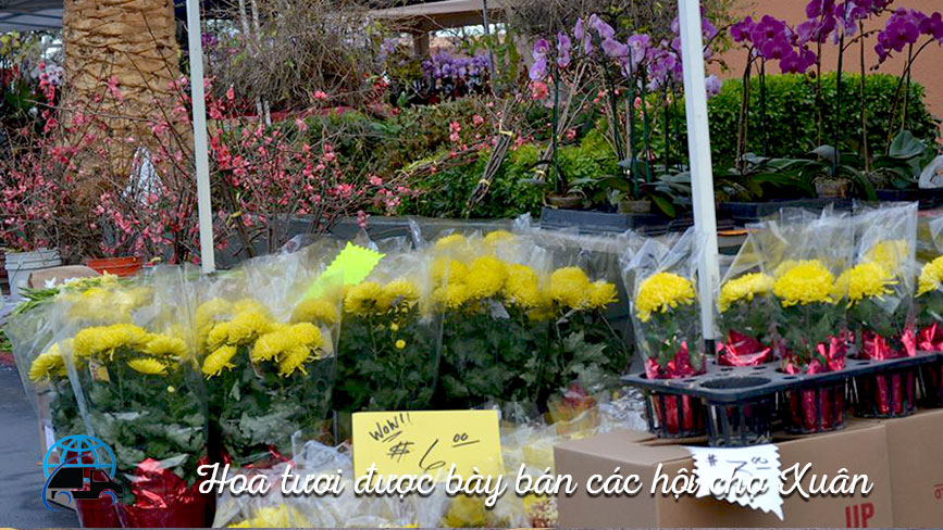 Gửi hoa giả từ Sài Gòn đi Mỹ