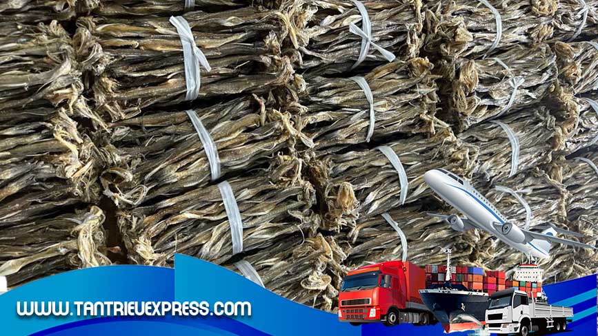 Hàng hóa đều được cân và đo kích thước khi gửi đi Pháp