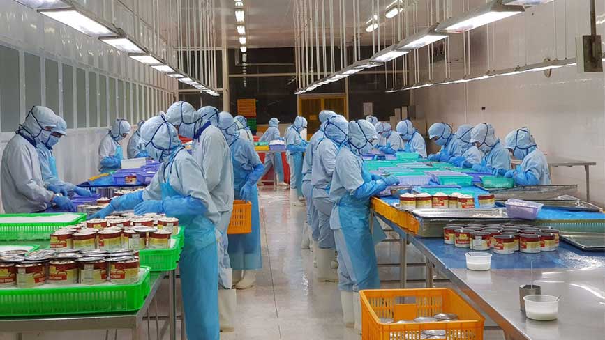 Các doanh nghiệp sản xuất thực phẩm tết gặp khó