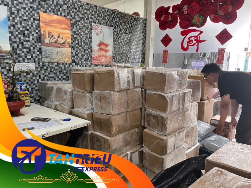 Chọn dịch vụ gửi hàng từ Ấn Độ về Việt Nam