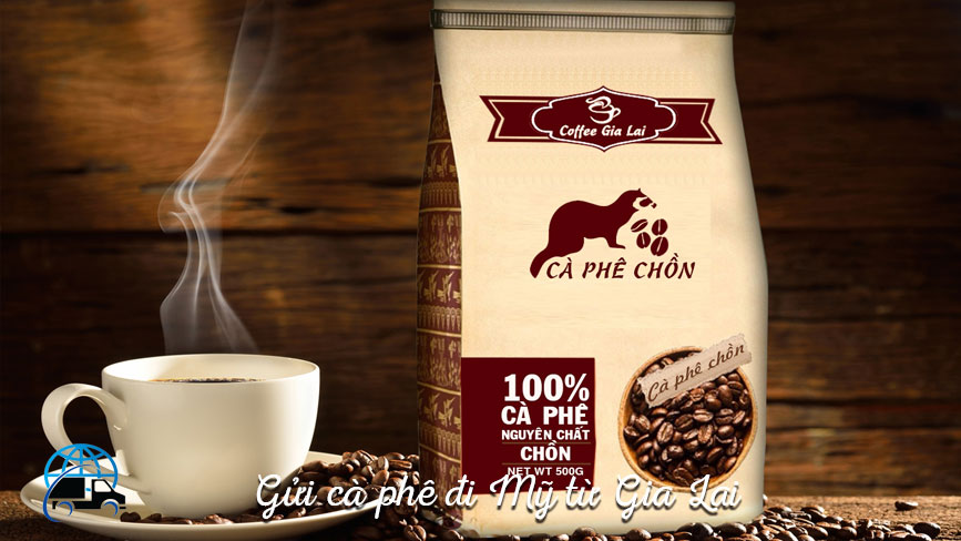 Gửi hàng từ Pleiku đi Mỹ