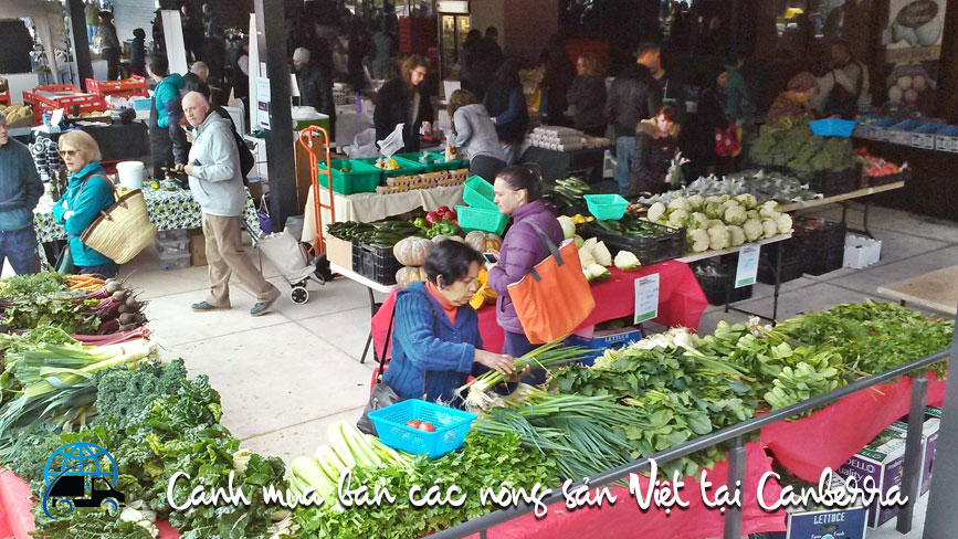 Công ty vận chuyển hàng từ Úc về Sài Gòn