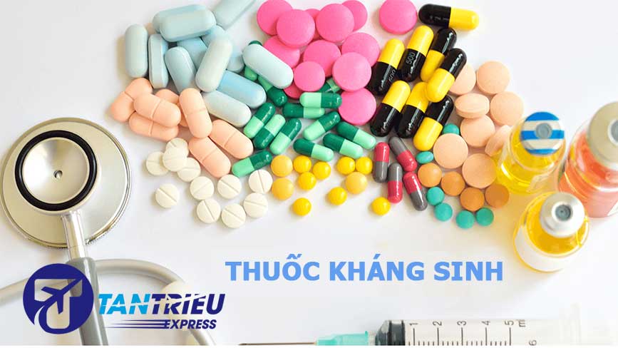 Các dòng thuốc kháng sinh gửi đi Mỹ