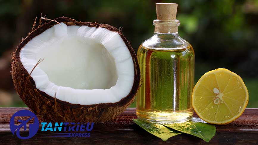 Tinh dầu dừa, món quà từ thiên nhiên chiết xuất cho tóc