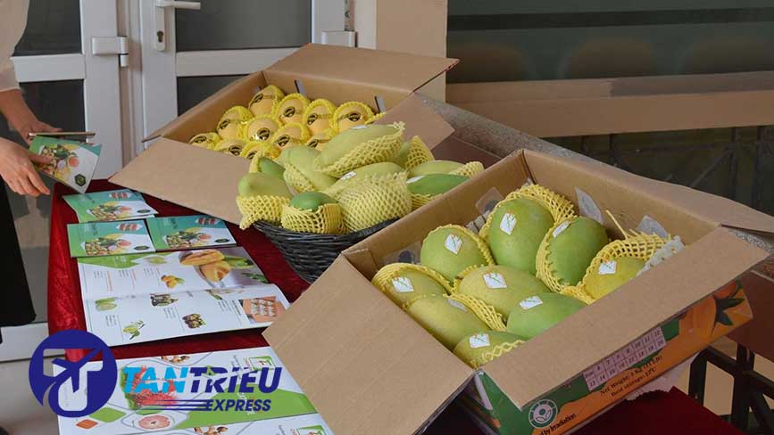 Gửi hàng trái cây tươi đi Mỹ xuất khẩu