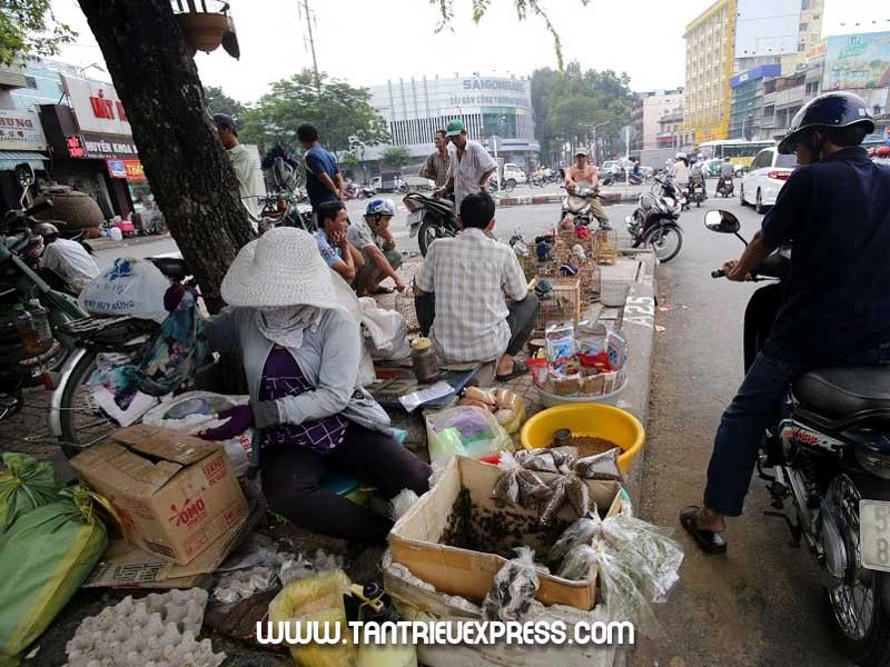 Chợ côn trùng  "kỳ quái" tại trung tâm Sài Gòn