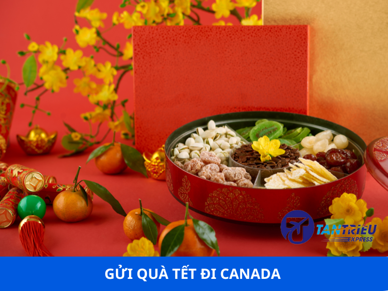 Gửi quà tết , bánh mứt, hạt dưa từ Sài Gòn đi Canada bao thuế