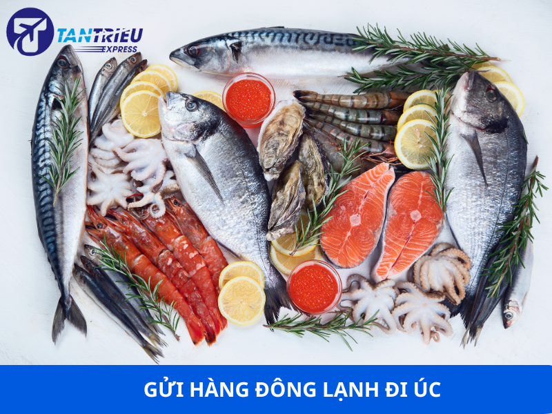 Gửi Hàng Đông Lạnh Từ Sài Gòn Đi Úc – Nhanh, Chuẩn, Không Lo Rã Đông