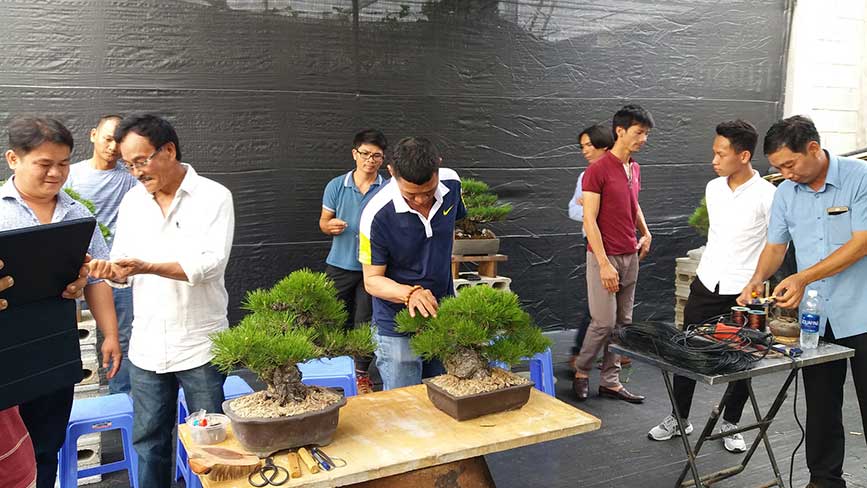 Những học viên tham gia khóa học trồng Bonsai thực hành 