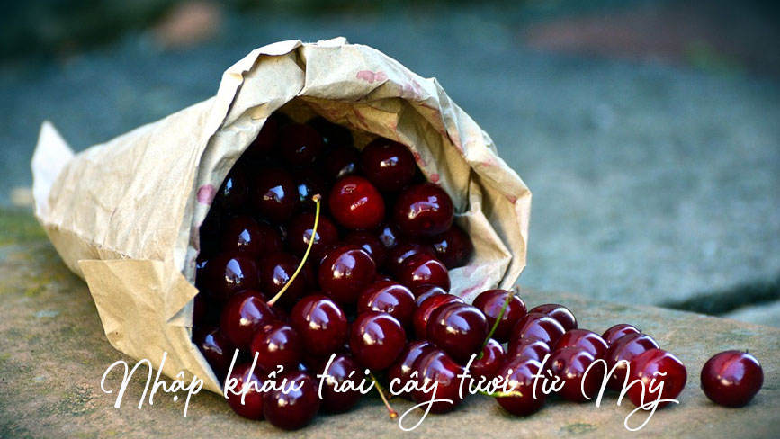 Trái cây tươi nhập khẩu giá rẻ