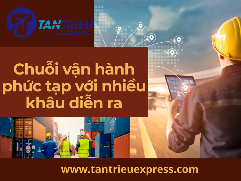 Chuỗi vận hành phức tạp nhưng ít quyền can thiệp