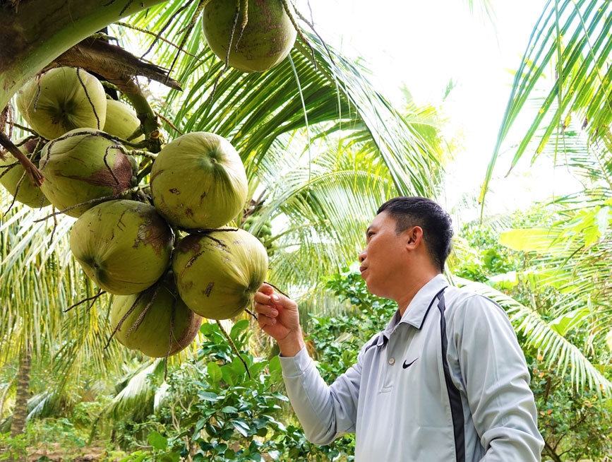 Lễ hội tôn vinh người nông dân và đặc sản xứ Cầu Kè